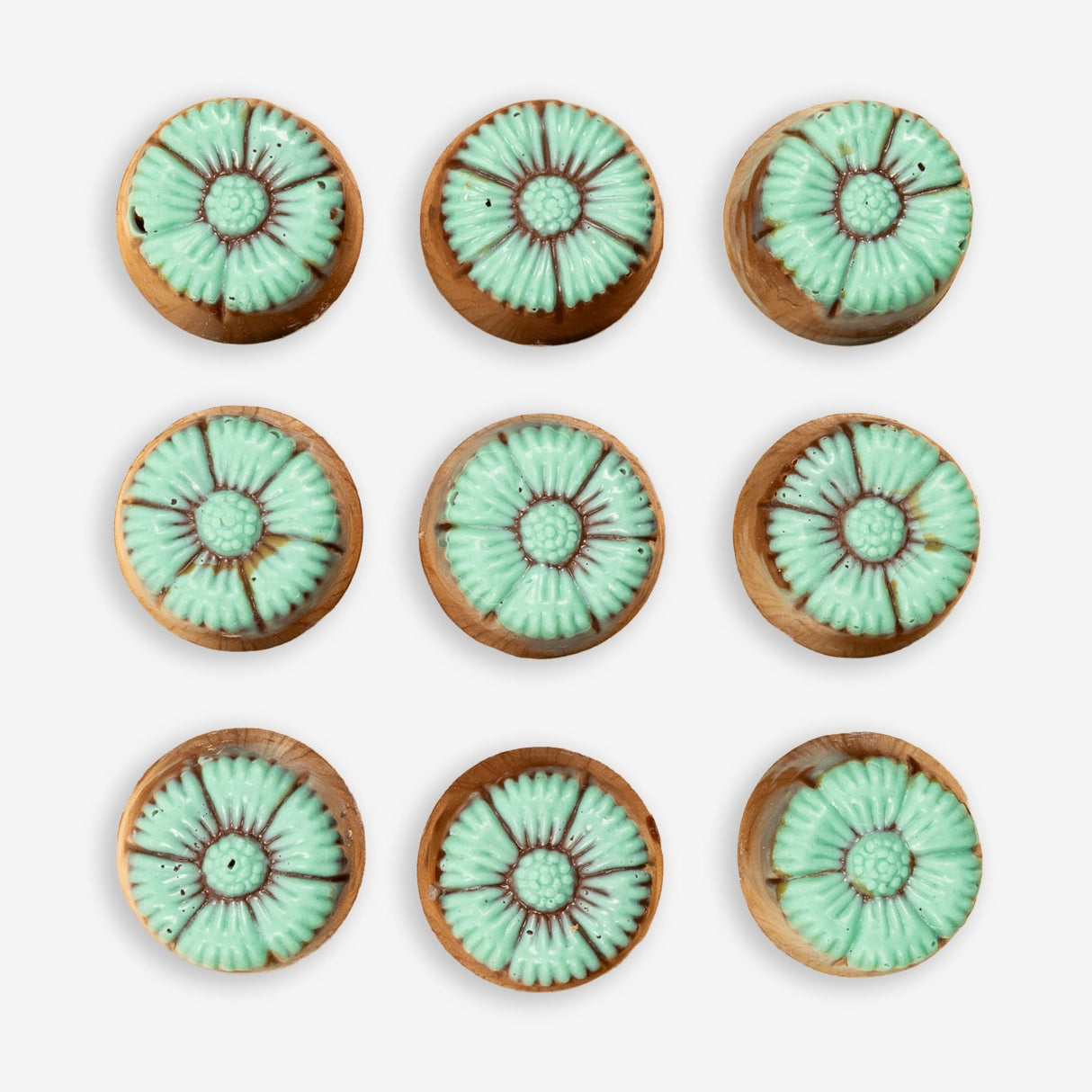 chocolate, brown, kiwi, kiwifruit, nz, lollyshop, chocolatier