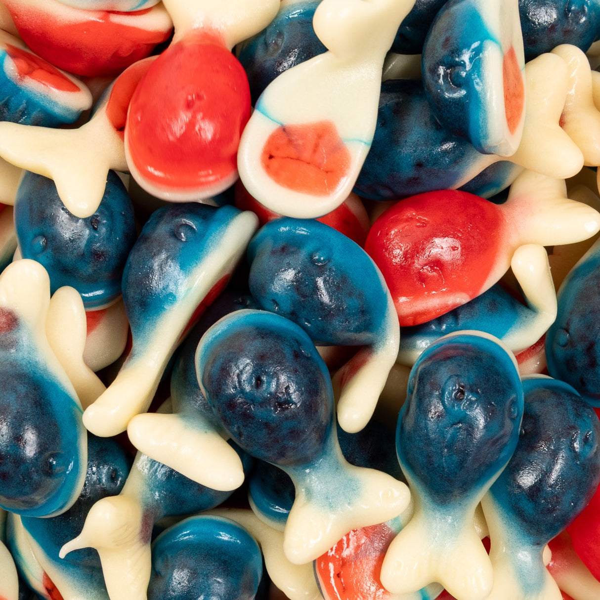red, blue, jelly, filled, jam, whales, sea, ocean, lollies, candy, lollyshop, nz