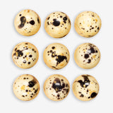 chocolate, brown, chocolatier, white, lollies, candy, lollyshop, nz