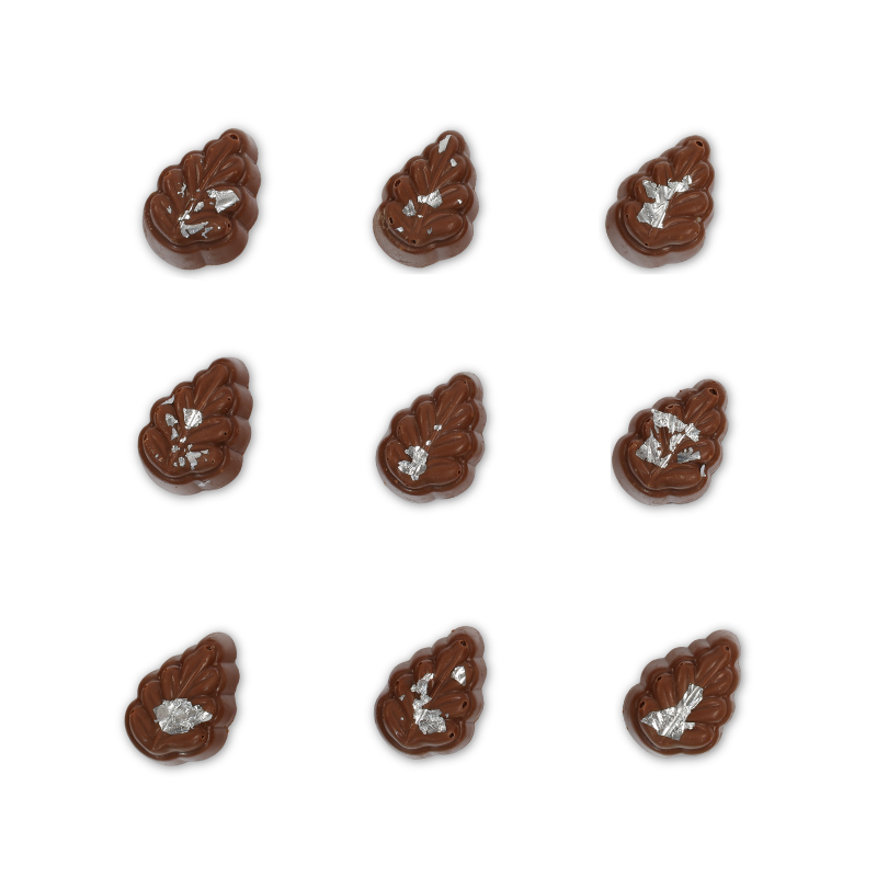 Feijoa Fern (Single Chocolate)