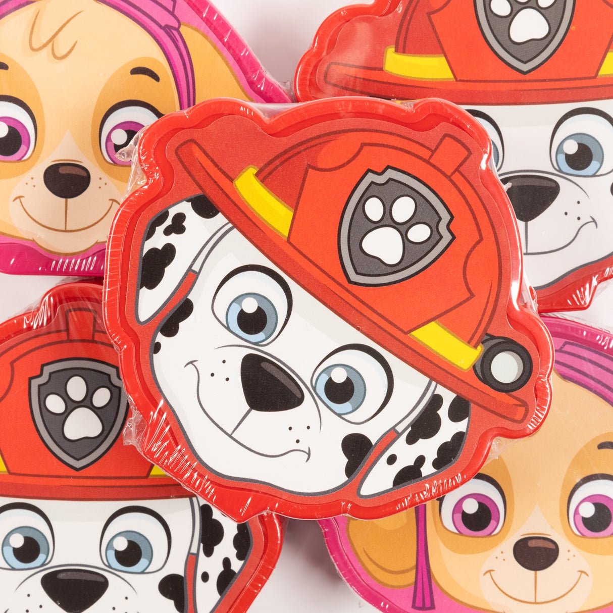 Paw Patrol Candy Case 10g