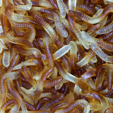 Cola Worms