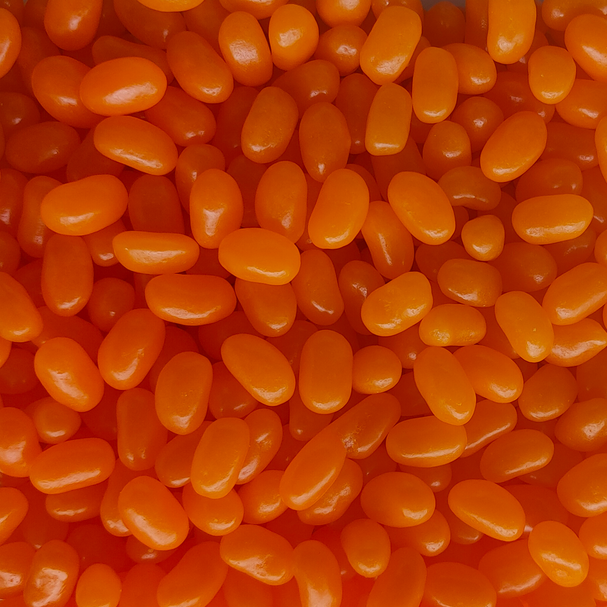 Jelly Beans (NZ Made Single Colour)